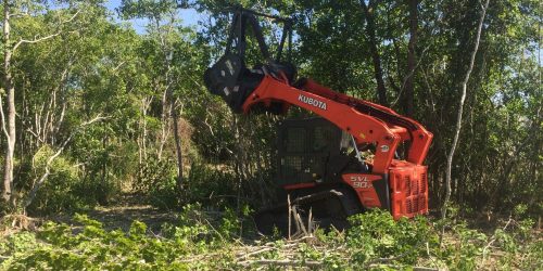 Brush Clearing - Free Estimate