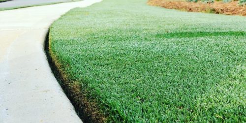 Fertilizating, Lawn Fertilization