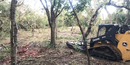 Forestry Mulching Service
