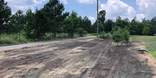 Land Clearing