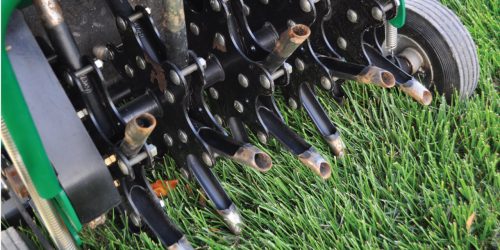 Lawn Aeration & Overseeding 2