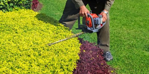 Lawn Care, Yard Clean Up, Shrub Trimming