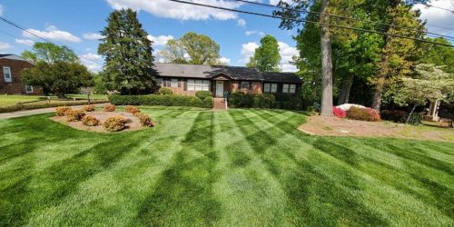 Lawn Maintenance