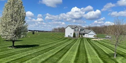Lawn Mowing