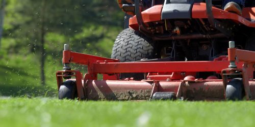 Lawn Mowing Service