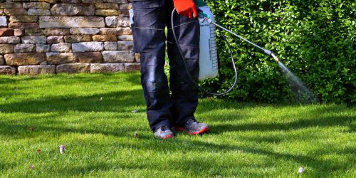 Mosquito Control Contractor