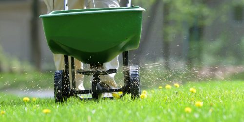 Weed Control, Lawn Service, Lawn Maintenance (2)